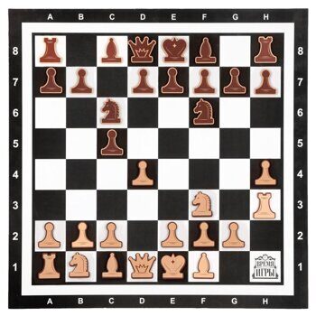 Шахматы демонстрационные магнитные "Время игры", черно-белые клетки,58.5х58.5 см см